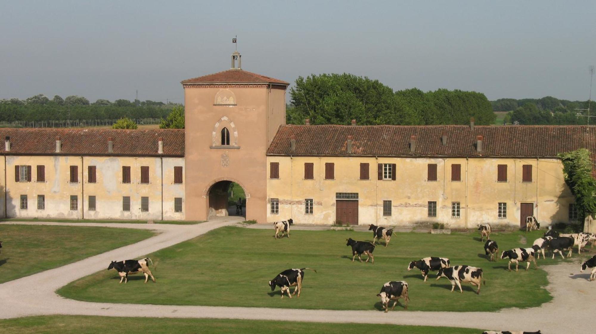 Agriturismo Corte Virgiliana Virgilio Luaran gambar