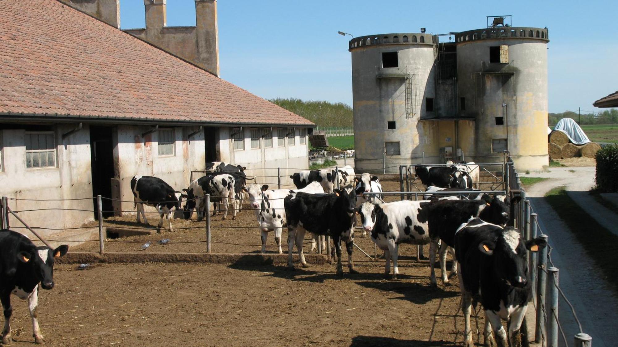 Agriturismo Corte Virgiliana Virgilio Bilik gambar